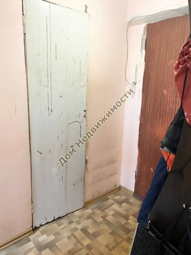 whatsapp image 2022-08-15 at 17.37.08 (7)